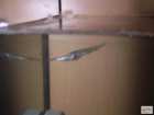 foto/forum/2008/th-img3847.jpg