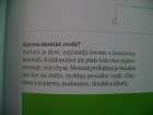 foto/forum/2008/th-img3872.jpg