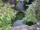 foto/forum/2008/th-img3903.jpg