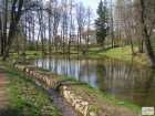 foto/forum/2008/th-img3975.jpg