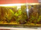 foto/forum/2008/th-img4044.jpg