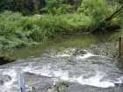 foto/forum/2008/th-img4050.jpg