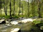 foto/forum/2008/th-img4075.jpg