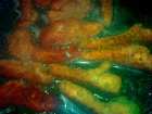 foto/forum/2008/th-img4125.jpg