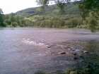 foto/forum/2008/th-img4155.jpg