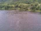 foto/forum/2008/th-img4156.jpg
