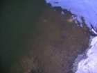 foto/forum/2008/th-img4243.jpg