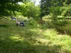 foto/forum/2008/th-img4306.jpg