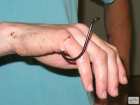 foto/forum/2008/th-img4312.jpg