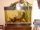 foto/forum/2008/th-img4340.jpg