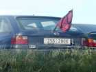 foto/forum/2008/th-img4367.jpg