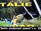 foto/forum/2008/th-img4399.jpg