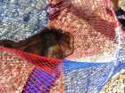 foto/forum/2008/th-img4407.jpg