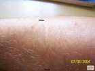 foto/forum/2008/th-img4868.jpg