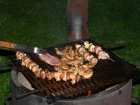 foto/forum/2008/th-img4903.jpg