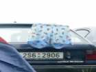 foto/forum/2008/th-img4941.jpg