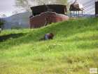 foto/forum/2008/th-img5028.jpg