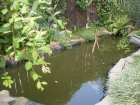 foto/forum/2008/th-img5053.jpg