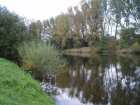 foto/forum/2008/th-img5078.jpg