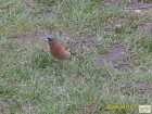 foto/forum/2008/th-img5210.jpg