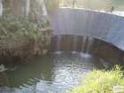 foto/forum/2008/th-img5355.jpg