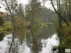 foto/forum/2008/th-img5644.jpg