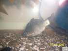 foto/forum/2008/th-img6027.jpg