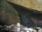 foto/forum/2008/th-img6031.jpg