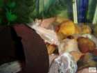 foto/forum/2008/th-img6076.jpg