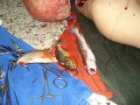 foto/forum/2008/th-img6103.jpg