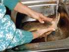 foto/forum/2008/th-img6104.jpg
