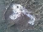 foto/forum/2008/th-img6118.jpg