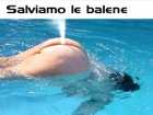 foto/forum/2008/th-img6140.jpg