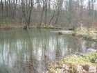 foto/forum/2008/th-img6319.jpg