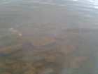 foto/forum/2008/th-img6342.jpg