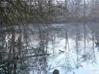 foto/forum/2008/th-img6374.jpg