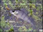 foto/forum/2008/th-img6416.jpg