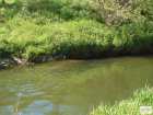 foto/forum/2008/th-img6465.jpg
