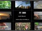 foto/forum/2008/th-img6469.jpg
