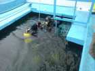 foto/forum/2008/th-img6477.jpg