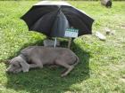 foto/forum/2009/th-img10076.jpg