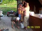 foto/forum/2009/th-img10094.jpg