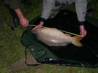 foto/forum/2009/th-img10138.jpg