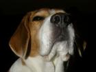 foto/forum/2009/th-img10155.jpg