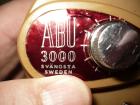 foto/forum/2009/th-img10368.jpg