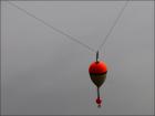 foto/forum/2009/th-img10378.jpg