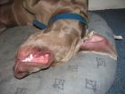 foto/forum/2009/th-img10423.jpg
