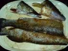 foto/forum/2009/th-img10424.jpg