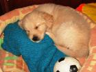 foto/forum/2009/th-img10492.jpg