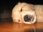 foto/forum/2009/th-img10493.jpg